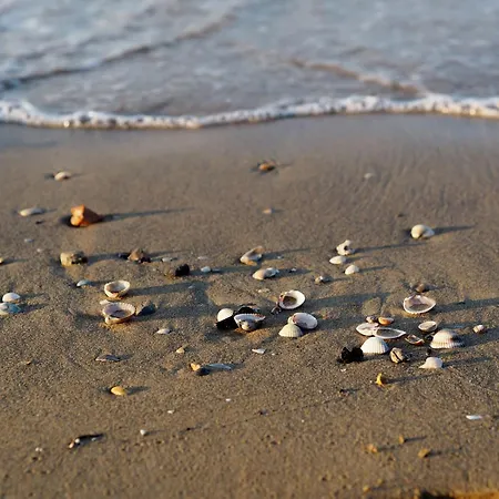 Modern Flat With Large Terrace * 比比翁