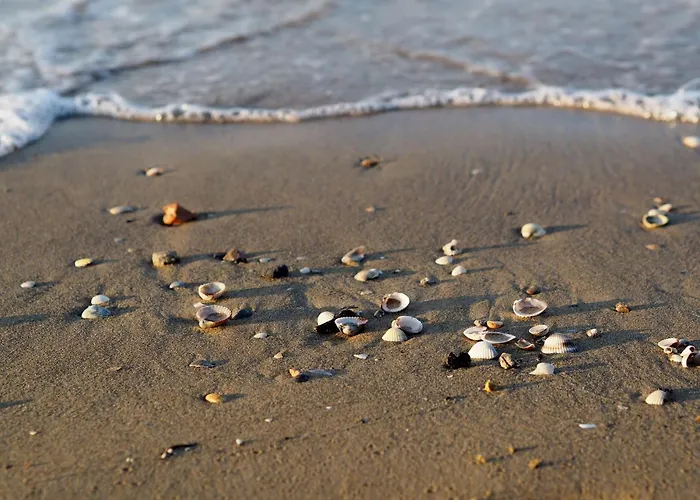 Modern Flat With Large Terrace * 比比翁